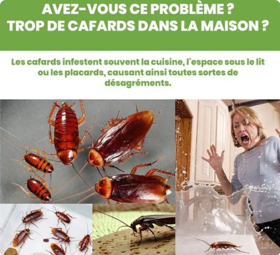 Répulsif contre les cafards (Satisfaction Garantie)