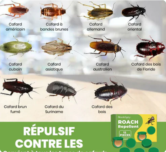 Répulsif contre les cafards (Satisfaction Garantie)