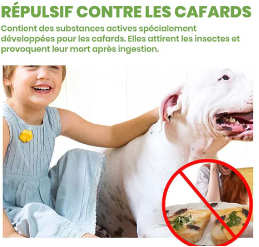 Répulsif contre les cafards (Satisfaction Garantie)
